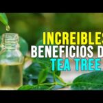 ¿Cómo Se Diluye El Aceite De árbol De Té?