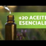Aceite Esencial De Orégano Y Clavo Para La Colitis