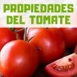 Cómo el aceite de semilla de tomate puede mejorar la salud de las encías