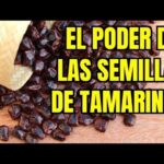 Descubre la Eficacia del Aceite de Semilla de Tamarindo